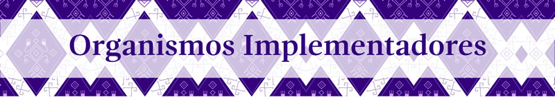 Organismos Implementadores Organismos Implementadores
