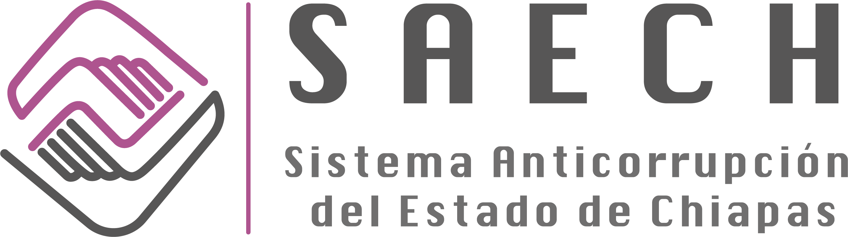 Sistema Anticorrupción del Estado de Chiapas