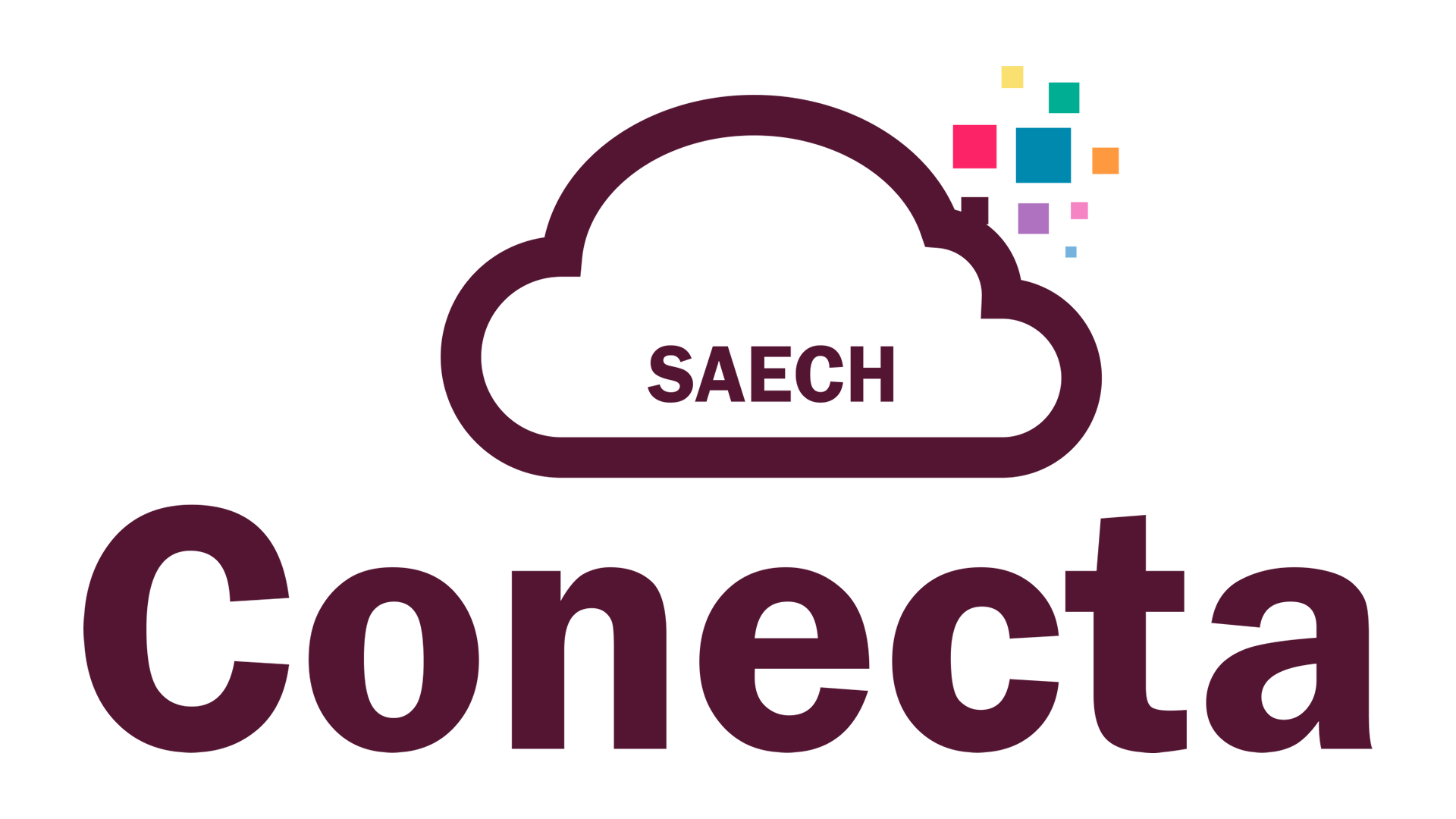 Sistema Conecta SAECH