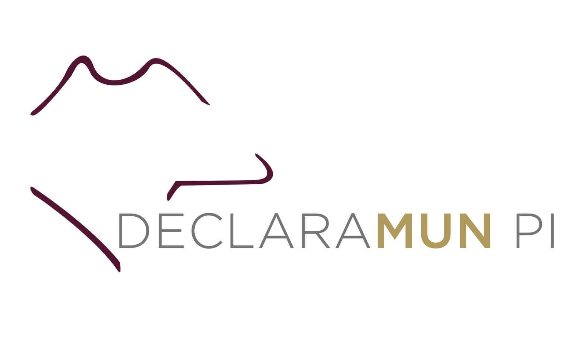 Sistema Declaramun PI