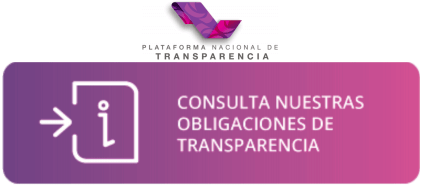 Consulta nuestras obligaciones de transparencia en la PNT