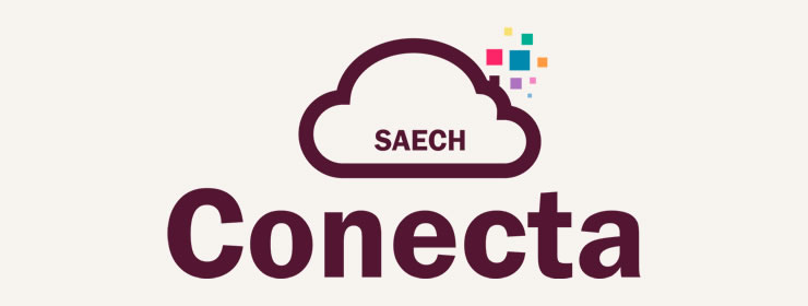Sistema Conecta SAECH