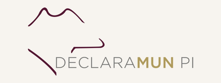 Sistema Declaramun PI