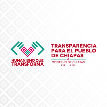 Transparencia para el Pueblo de Chiapas (TPCH)